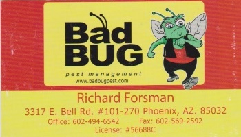 Bad Bug Pest Management