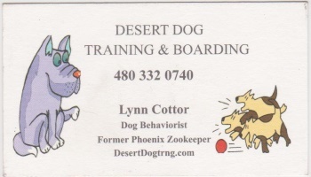 Desert Dog Training & Boarding